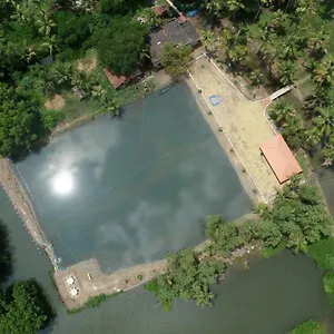  Bed & Breakfast Mangrove Holidays